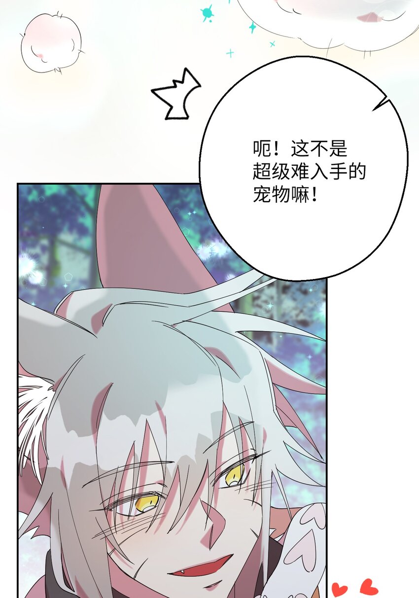 28 爱的宠物18