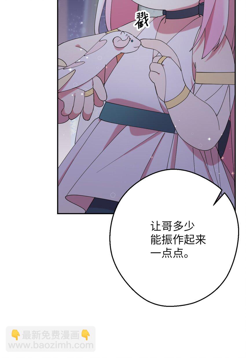 28 爱的宠物21