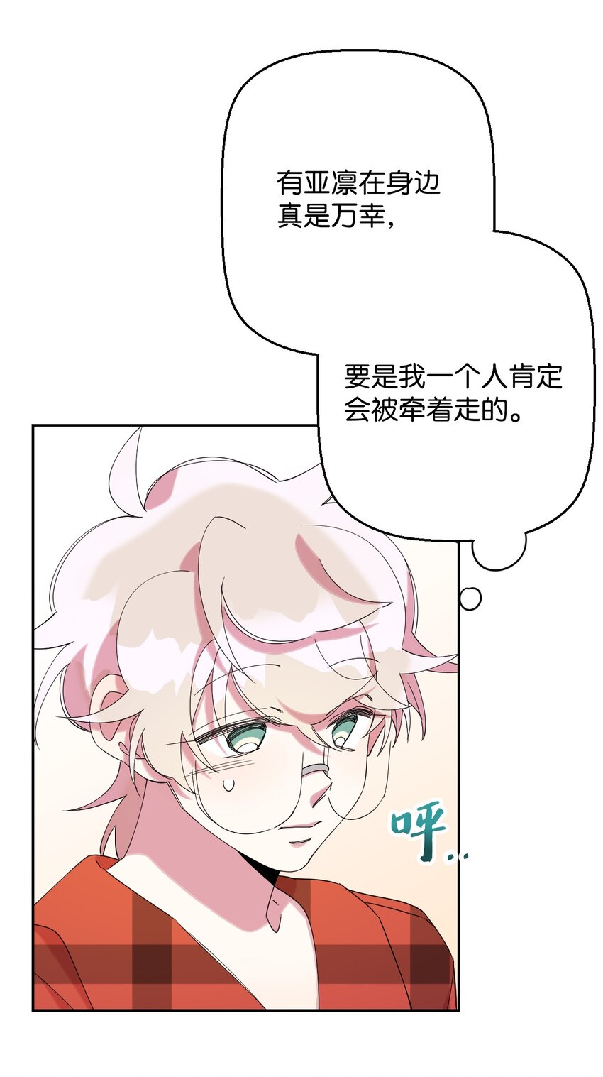 28 爱的宠物3