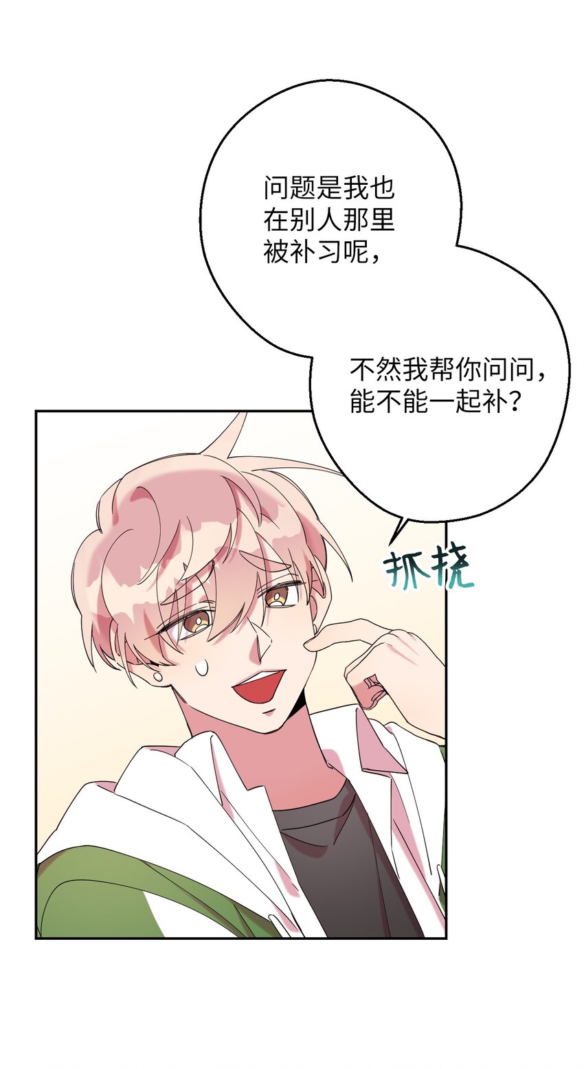 28 爱的宠物55