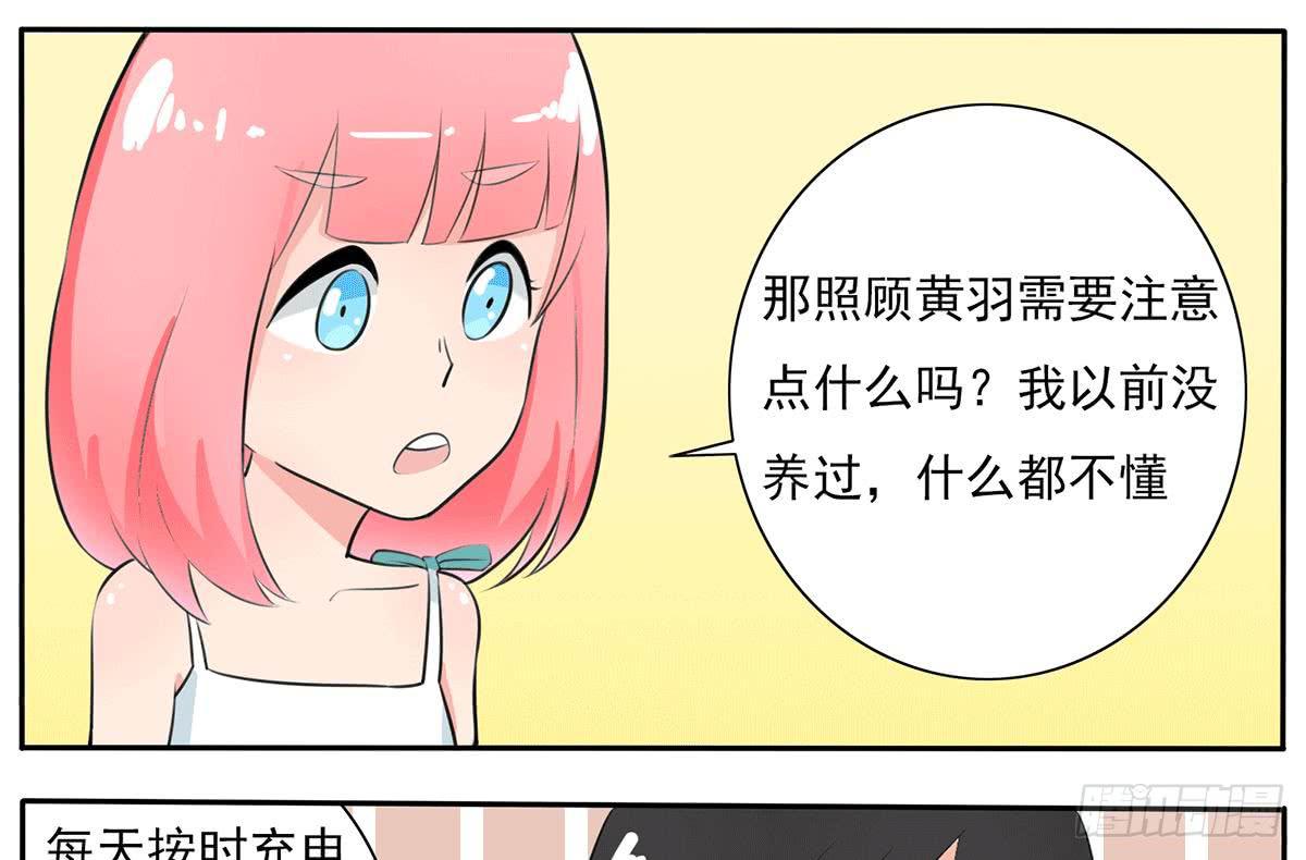 别惹我！我火气大36