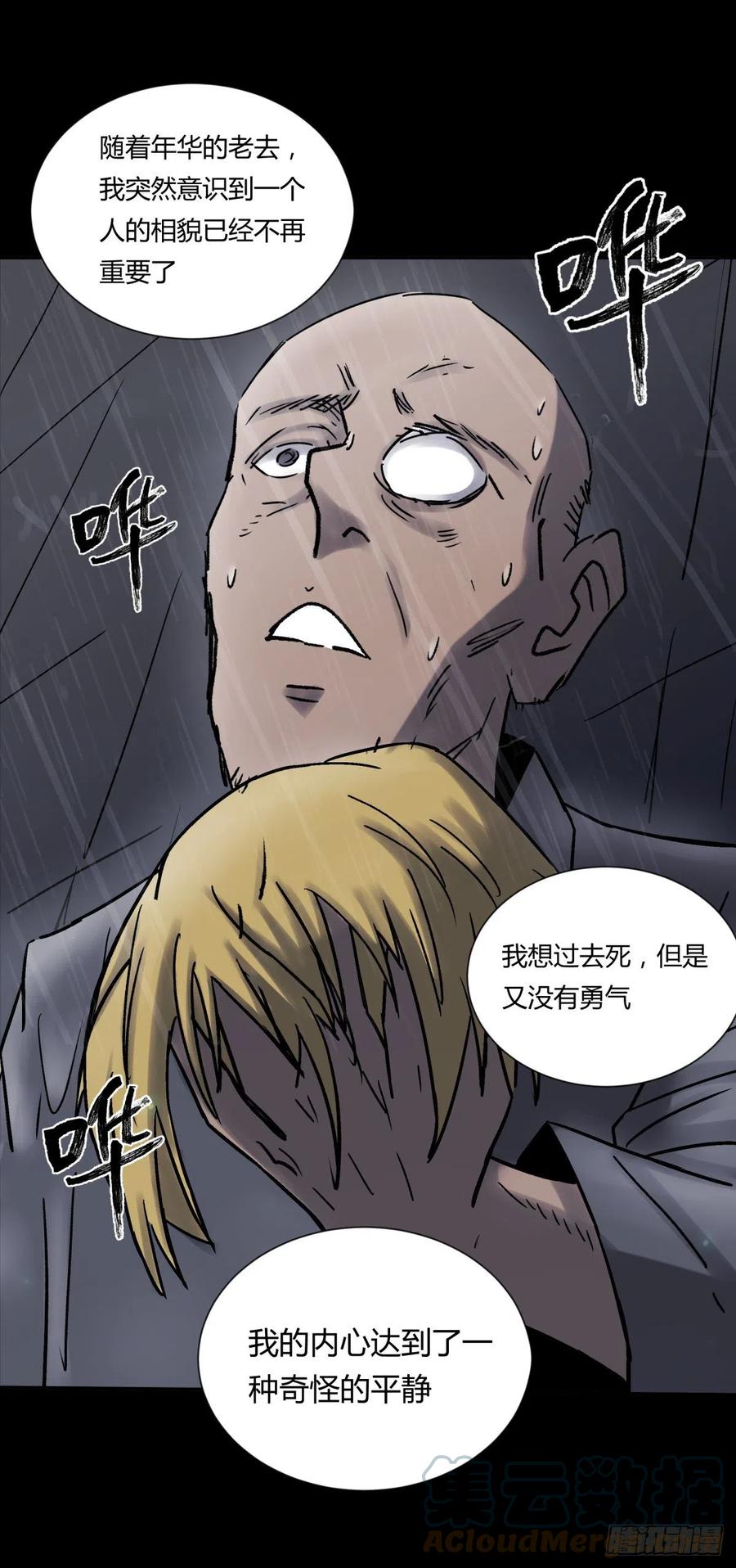 71张总6