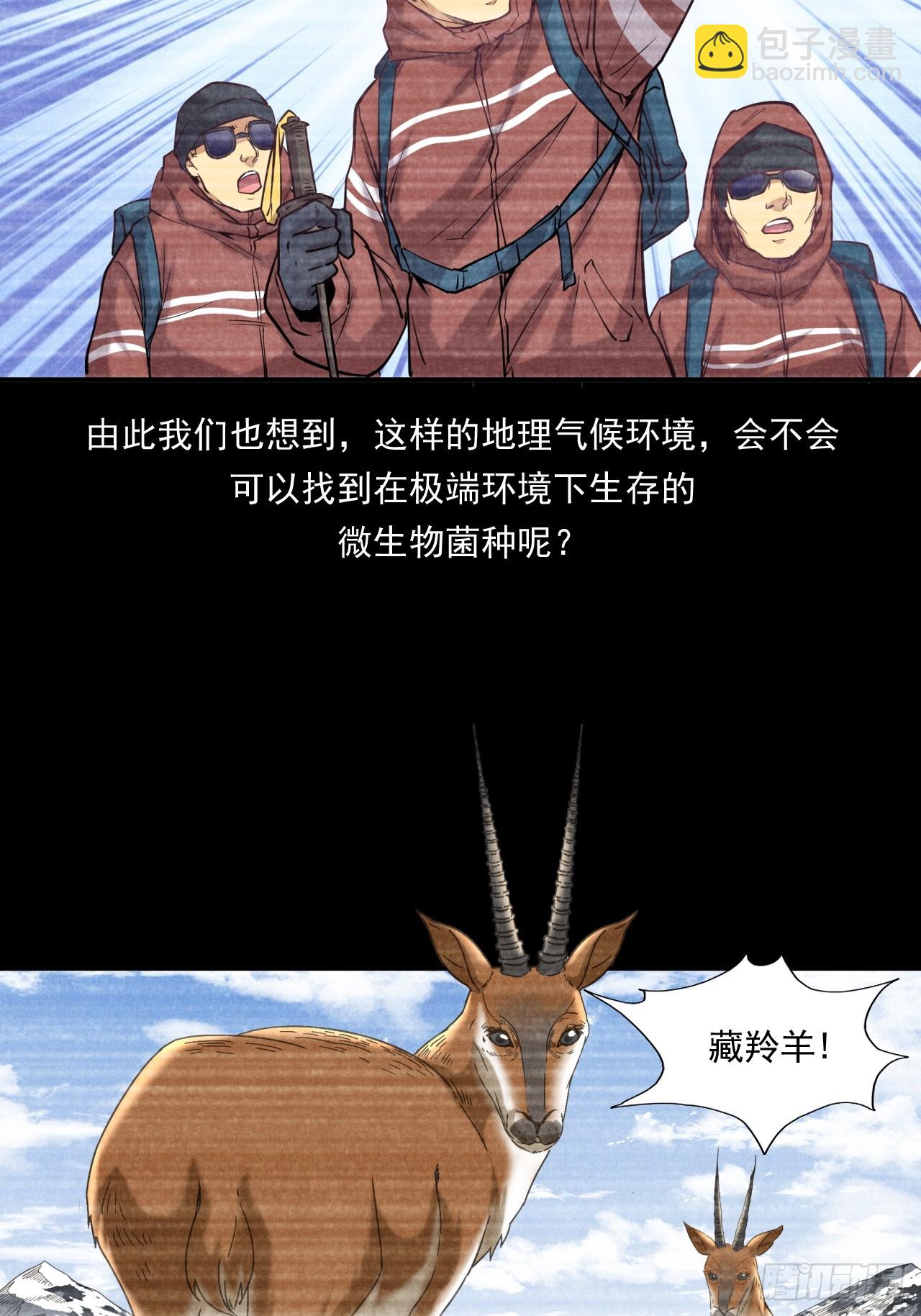 创造未来的真菌43