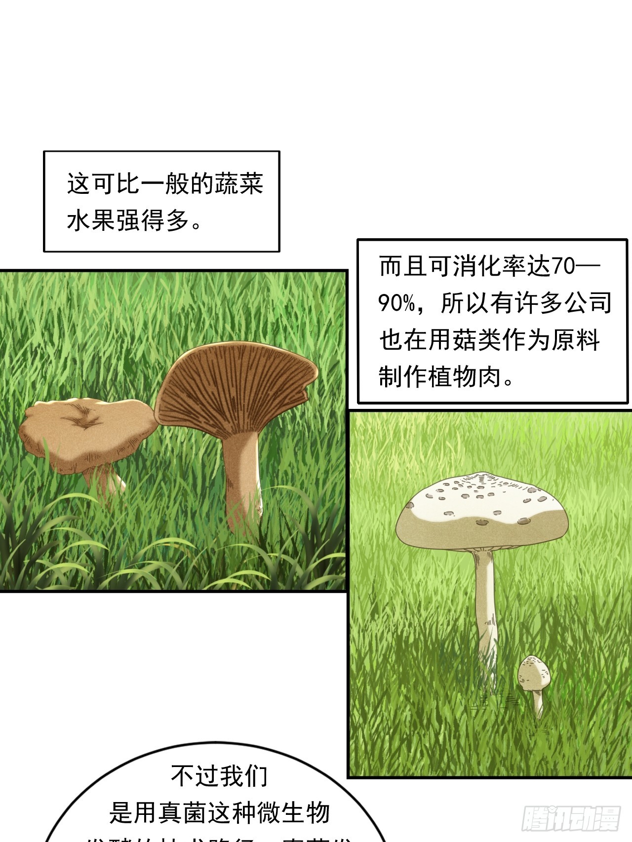 创造未来的真菌58
