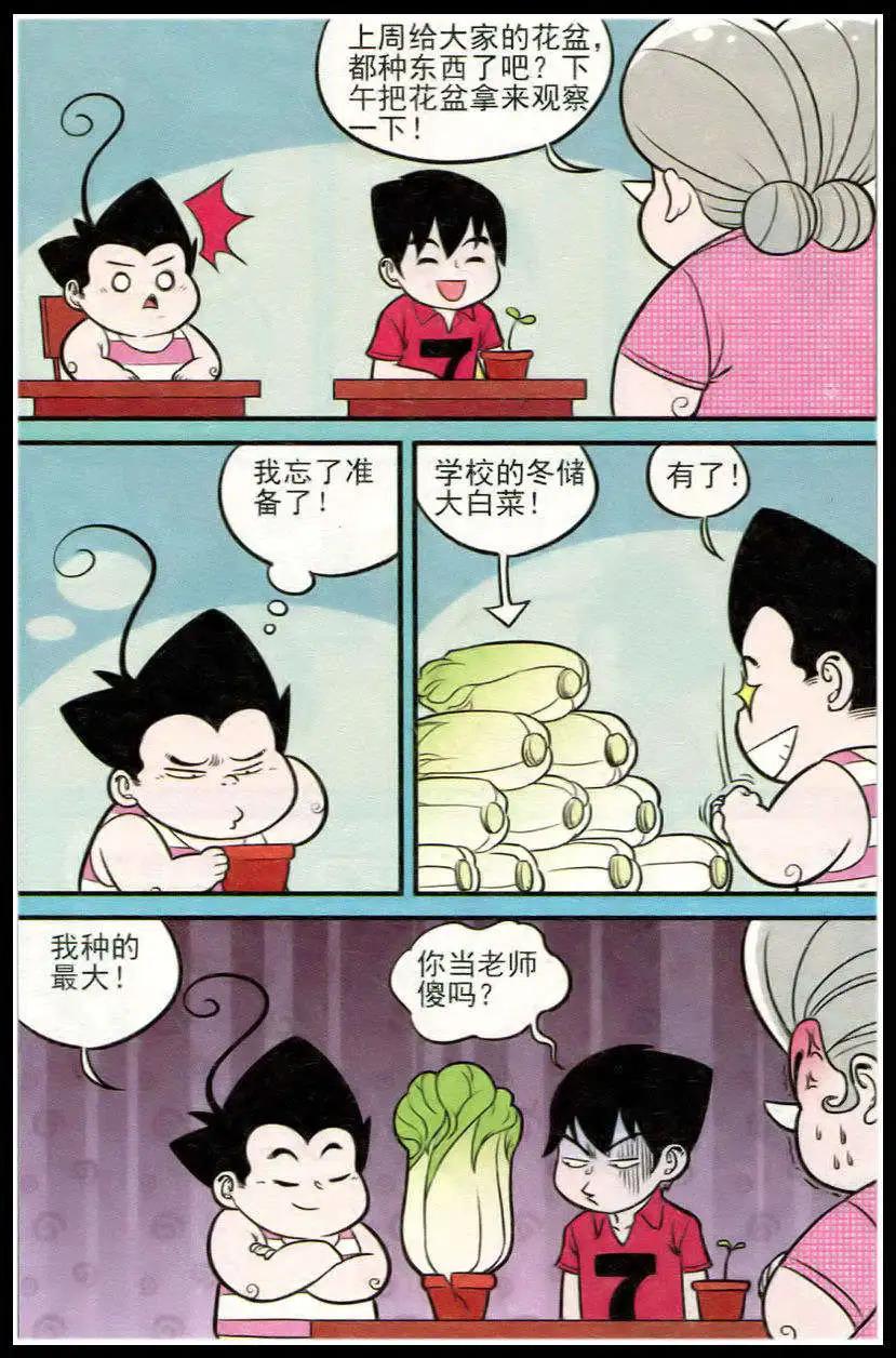 第213期22