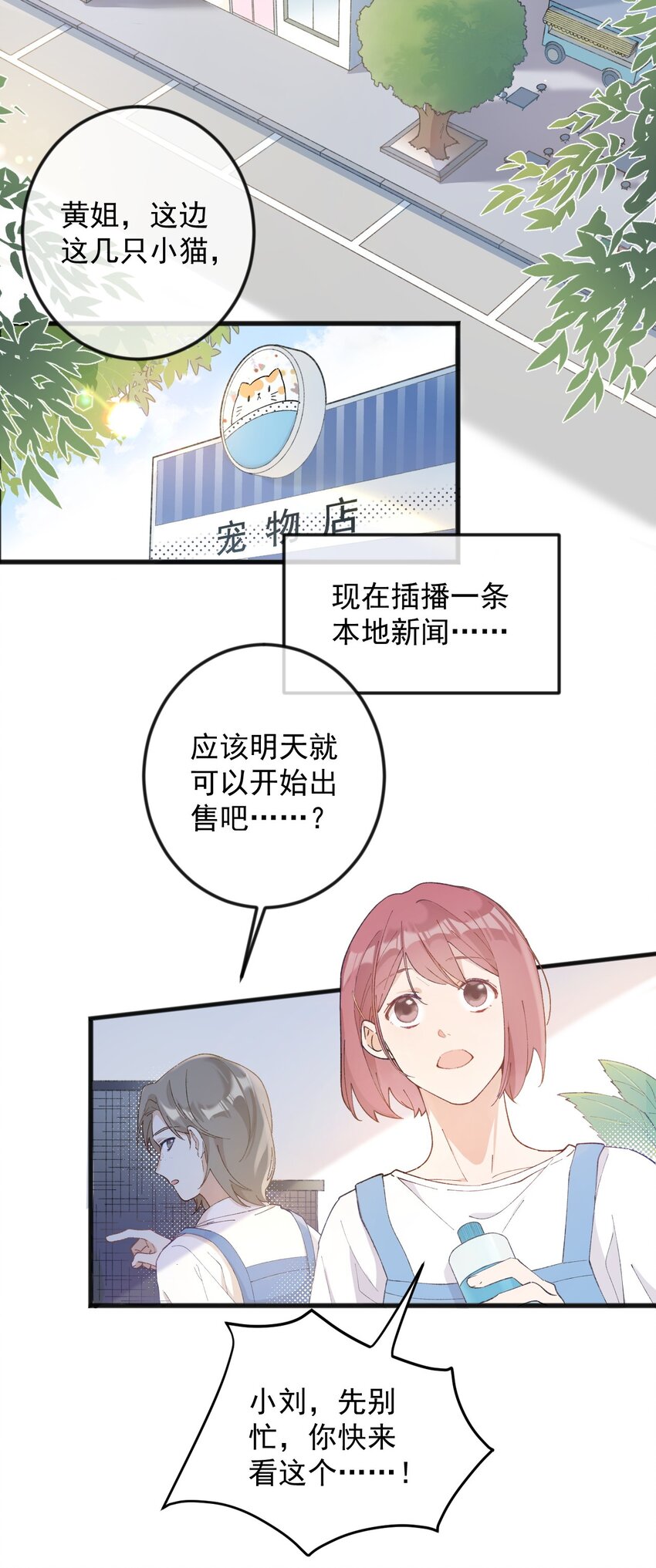 001 充满智慧的小猫咪1