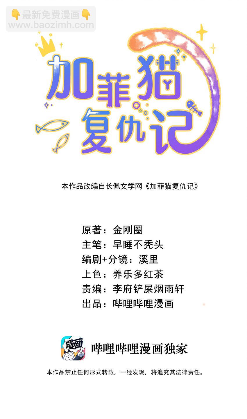 001 充满智慧的小猫咪10