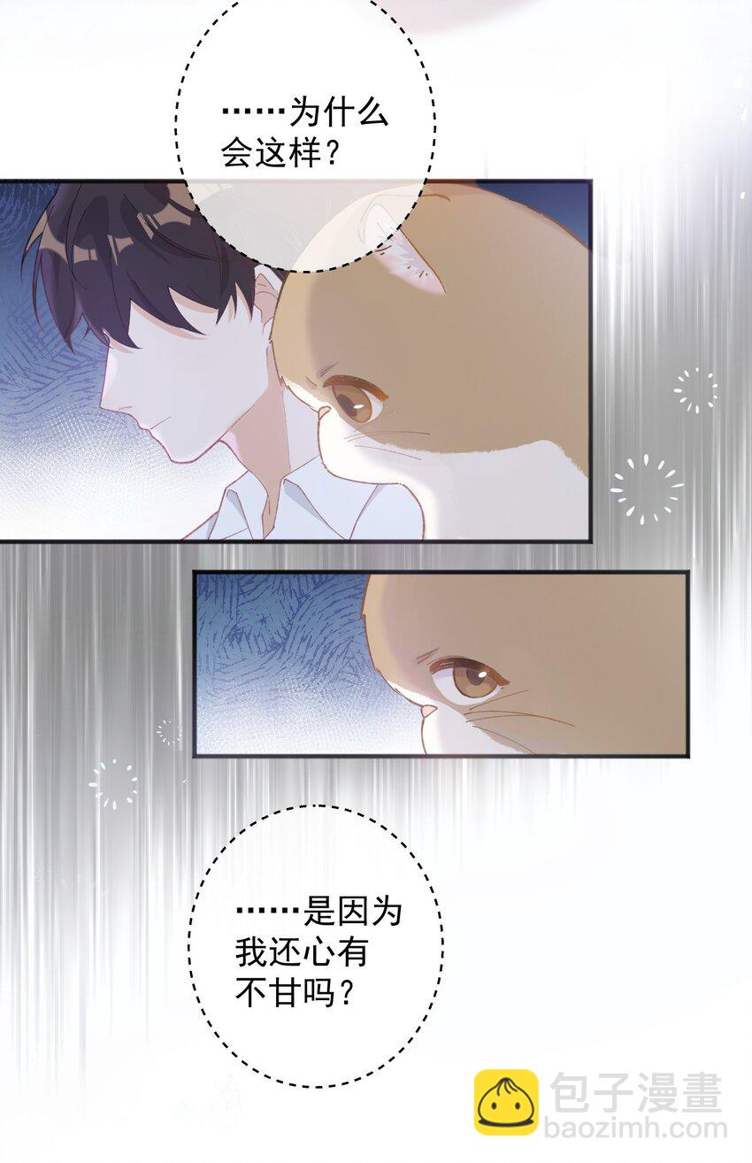 001 充满智慧的小猫咪13