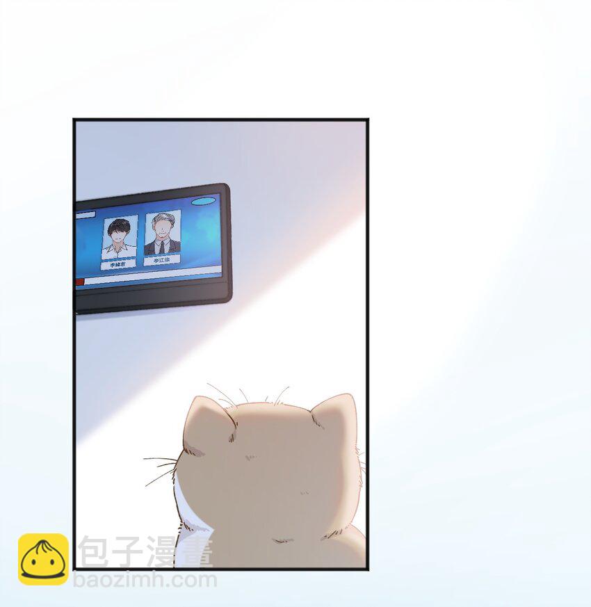 001 充满智慧的小猫咪14