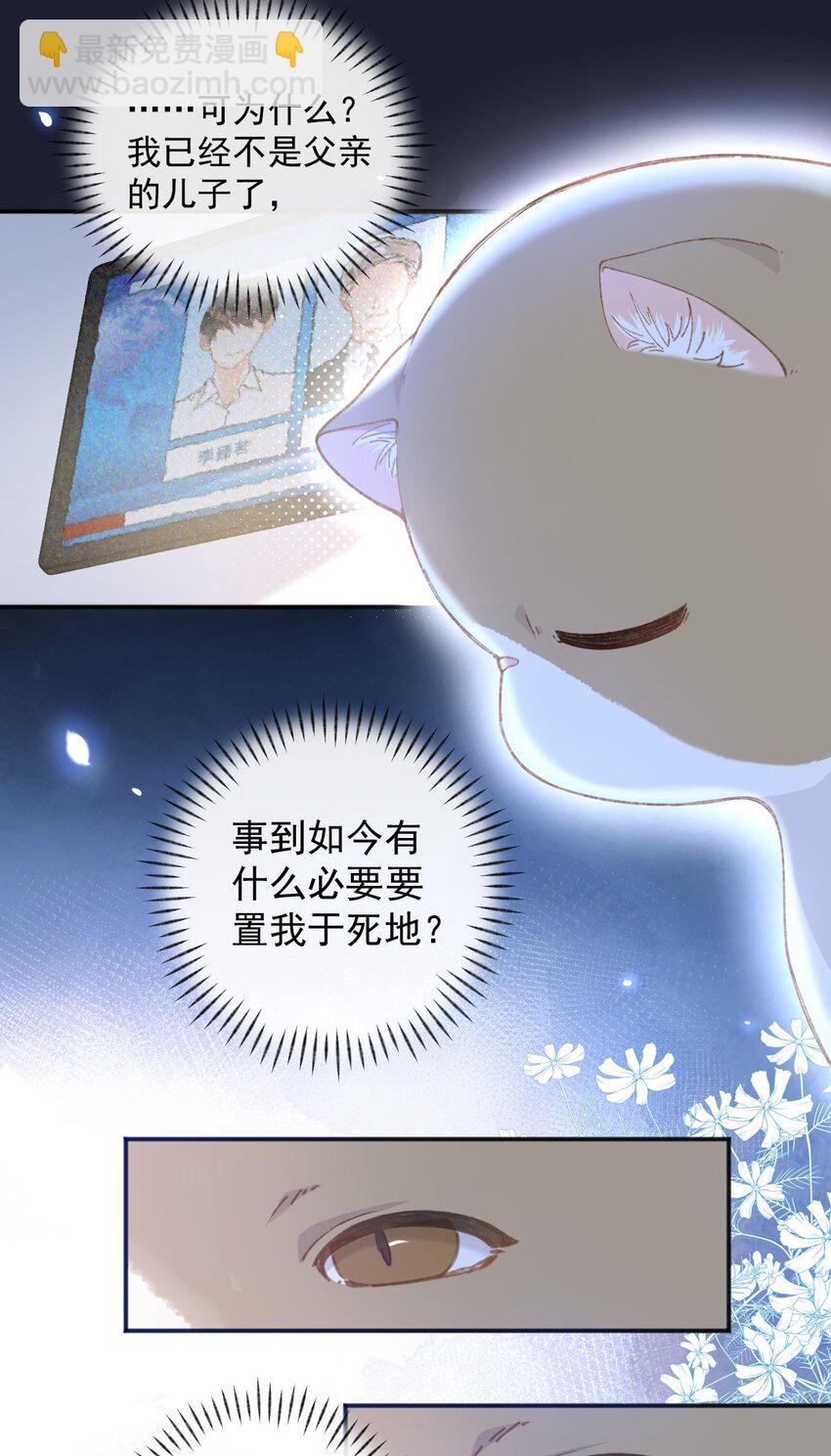 001 充满智慧的小猫咪23