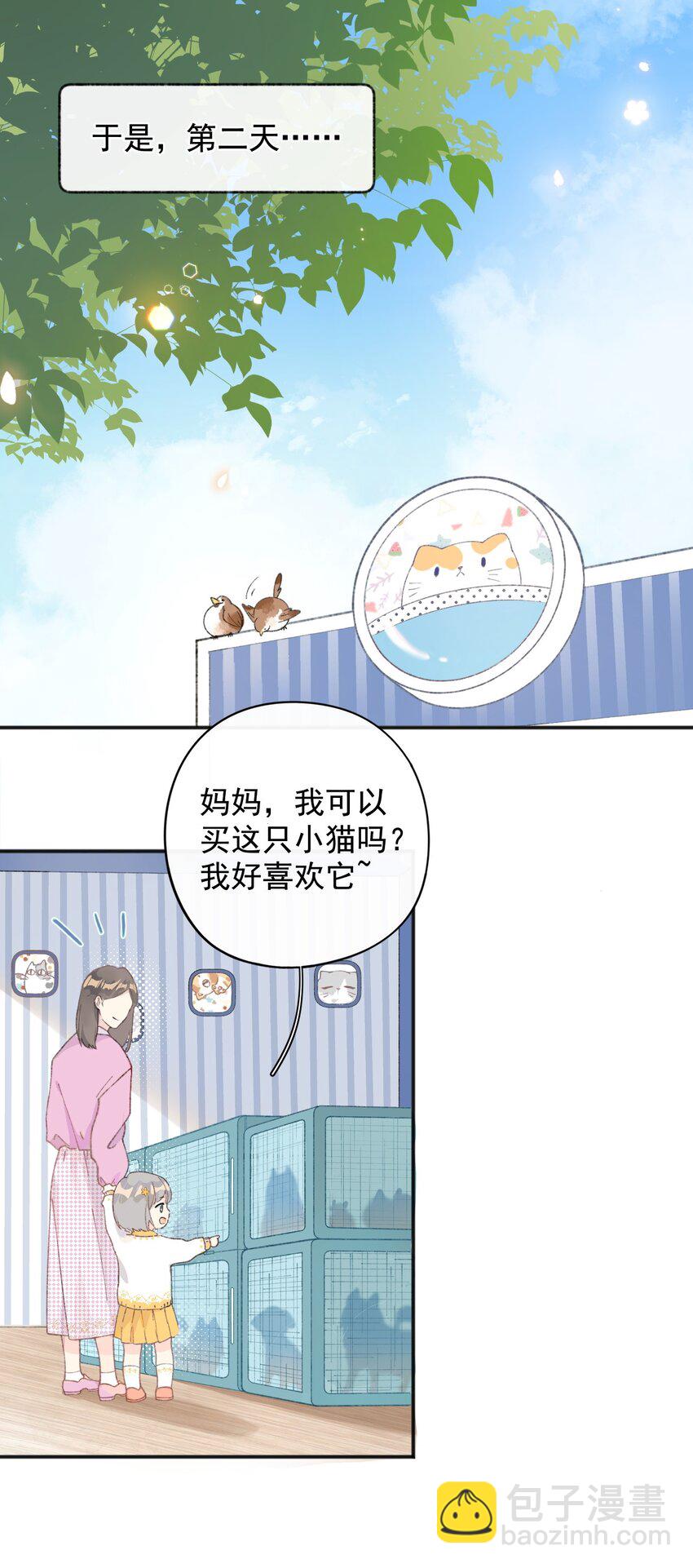 001 充满智慧的小猫咪26