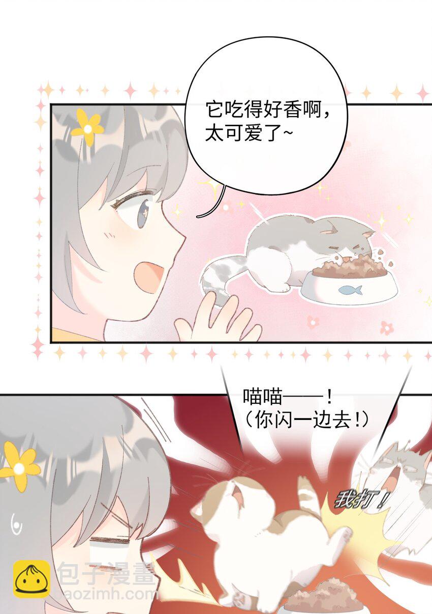 001 充满智慧的小猫咪27