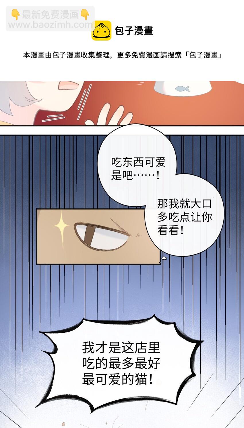 001 充满智慧的小猫咪28