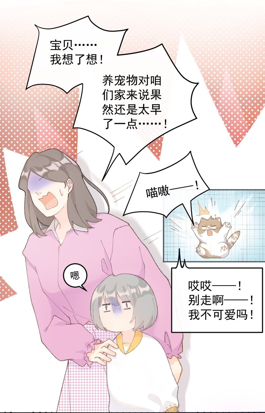 001 充满智慧的小猫咪30