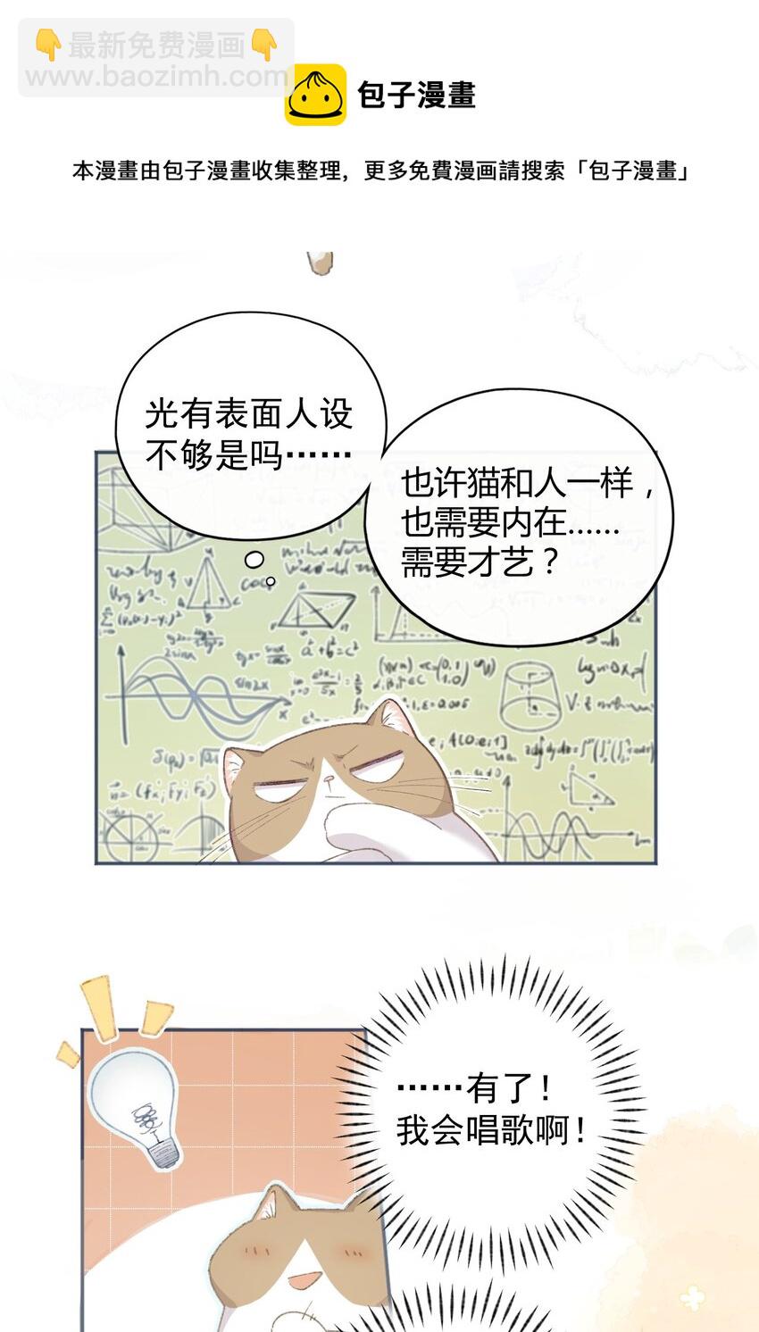 001 充满智慧的小猫咪32