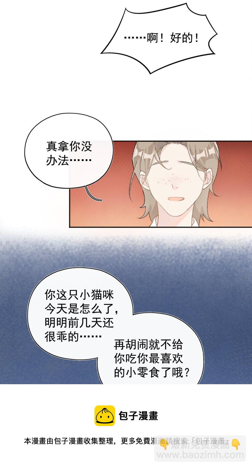 001 充满智慧的小猫咪36