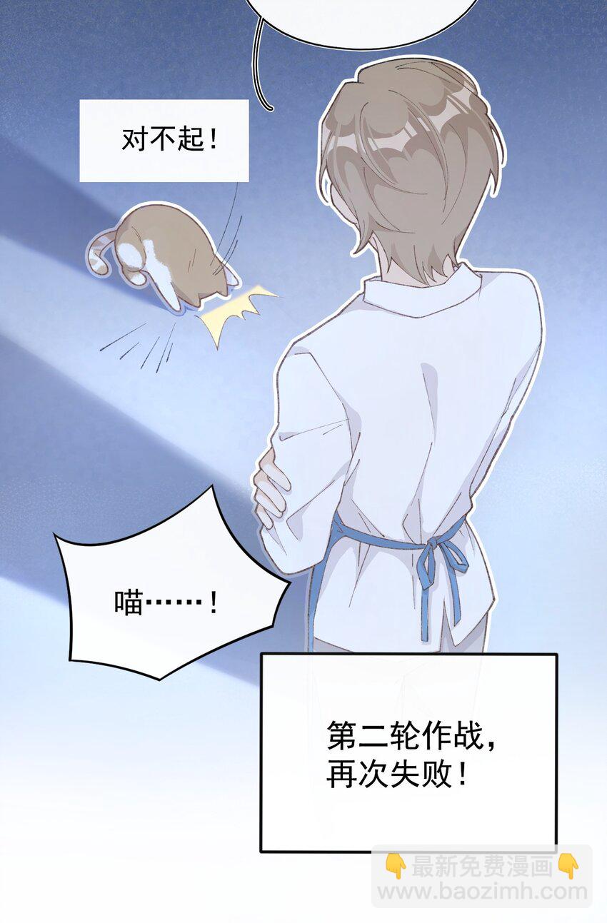 001 充满智慧的小猫咪37