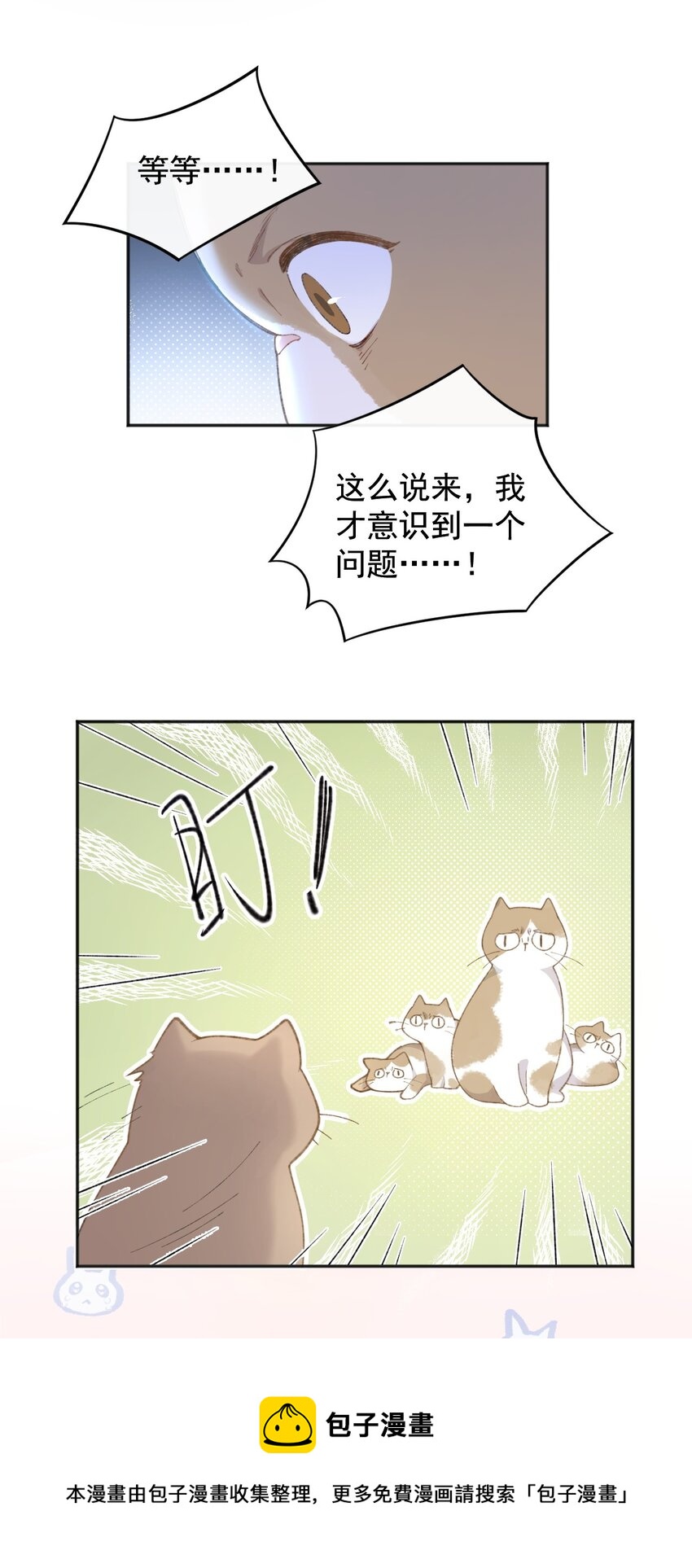 001 充满智慧的小猫咪40