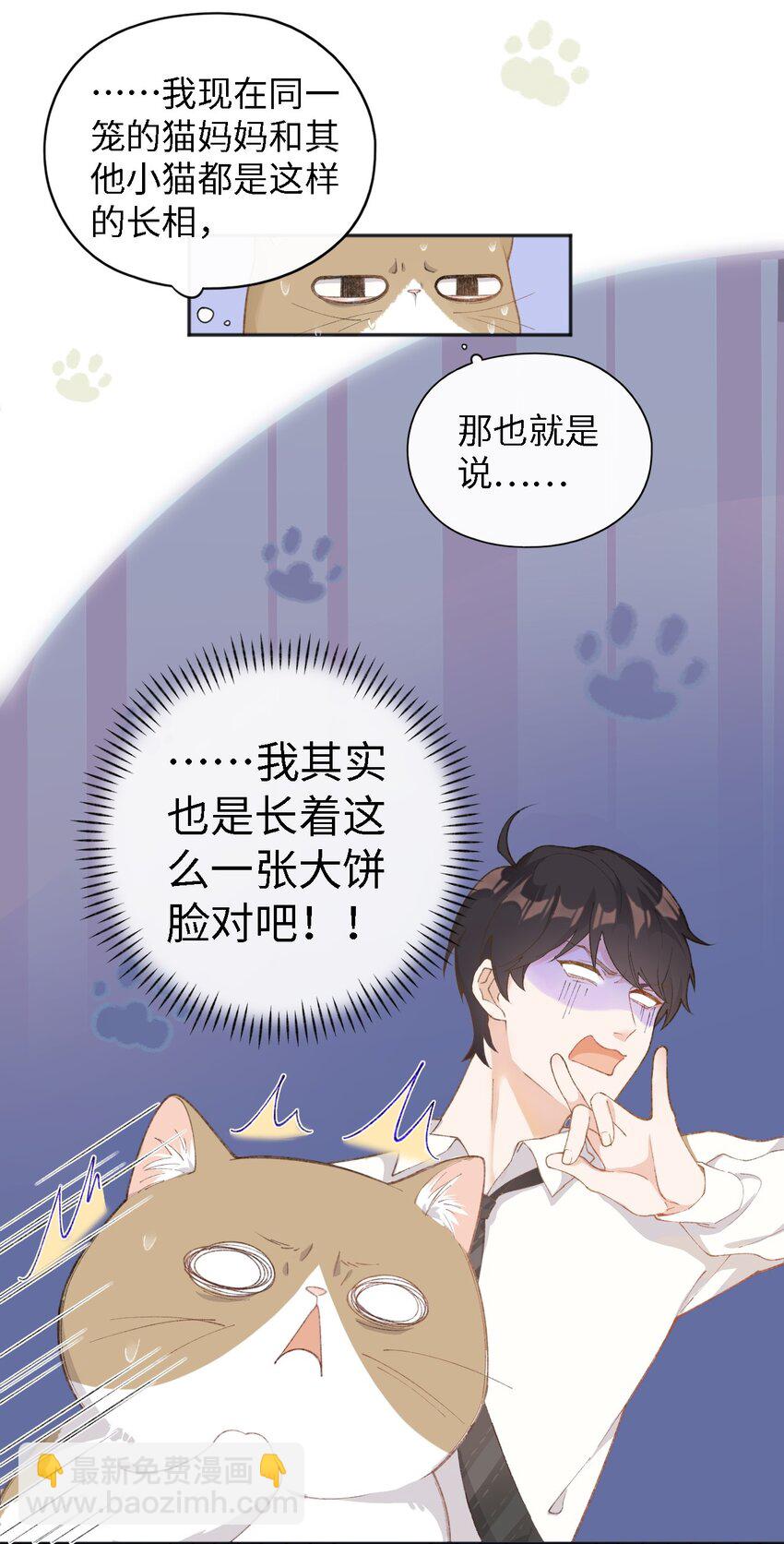 001 充满智慧的小猫咪42