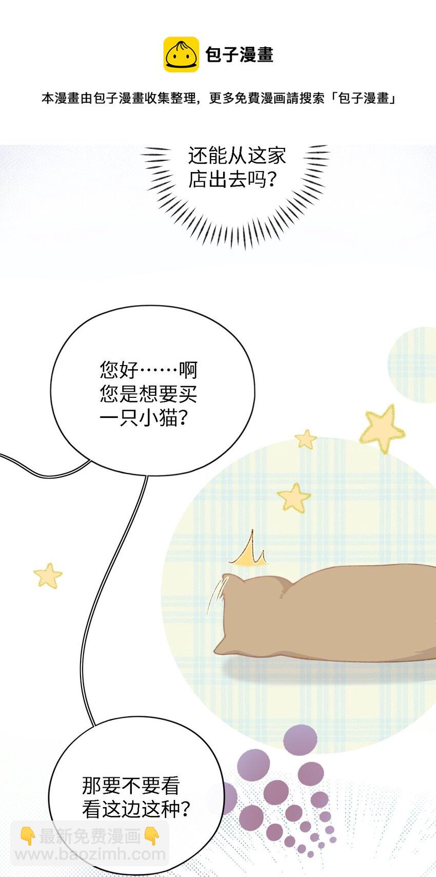 001 充满智慧的小猫咪44