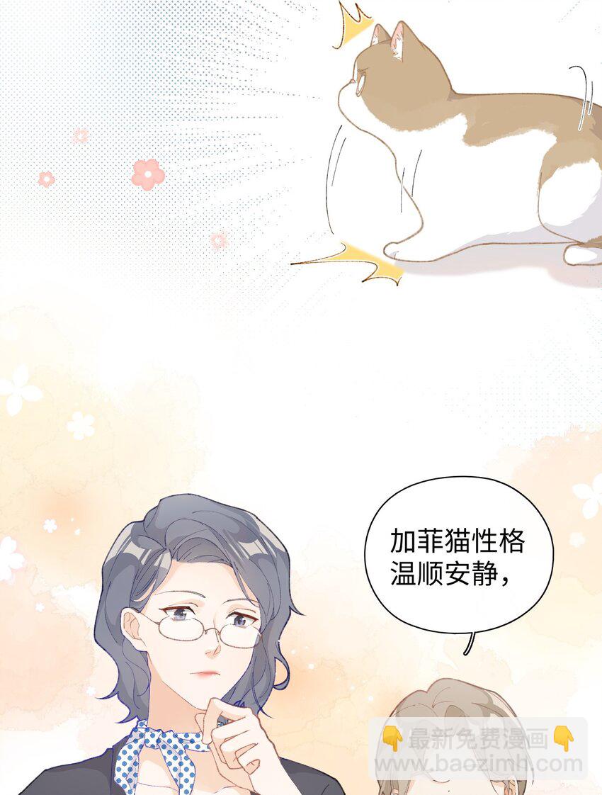 001 充满智慧的小猫咪45
