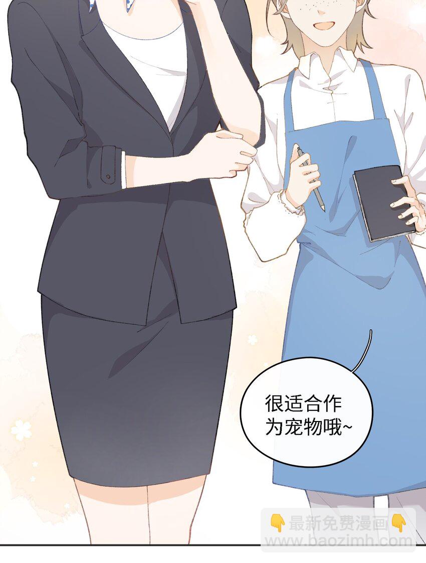 001 充满智慧的小猫咪46