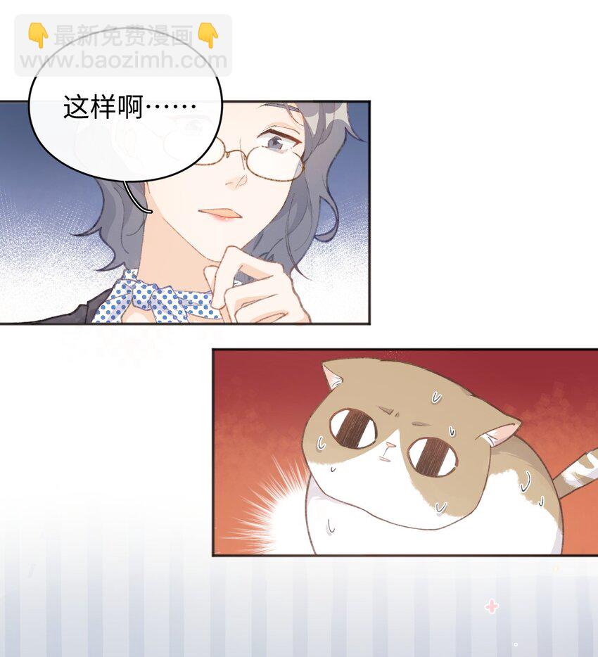 001 充满智慧的小猫咪51
