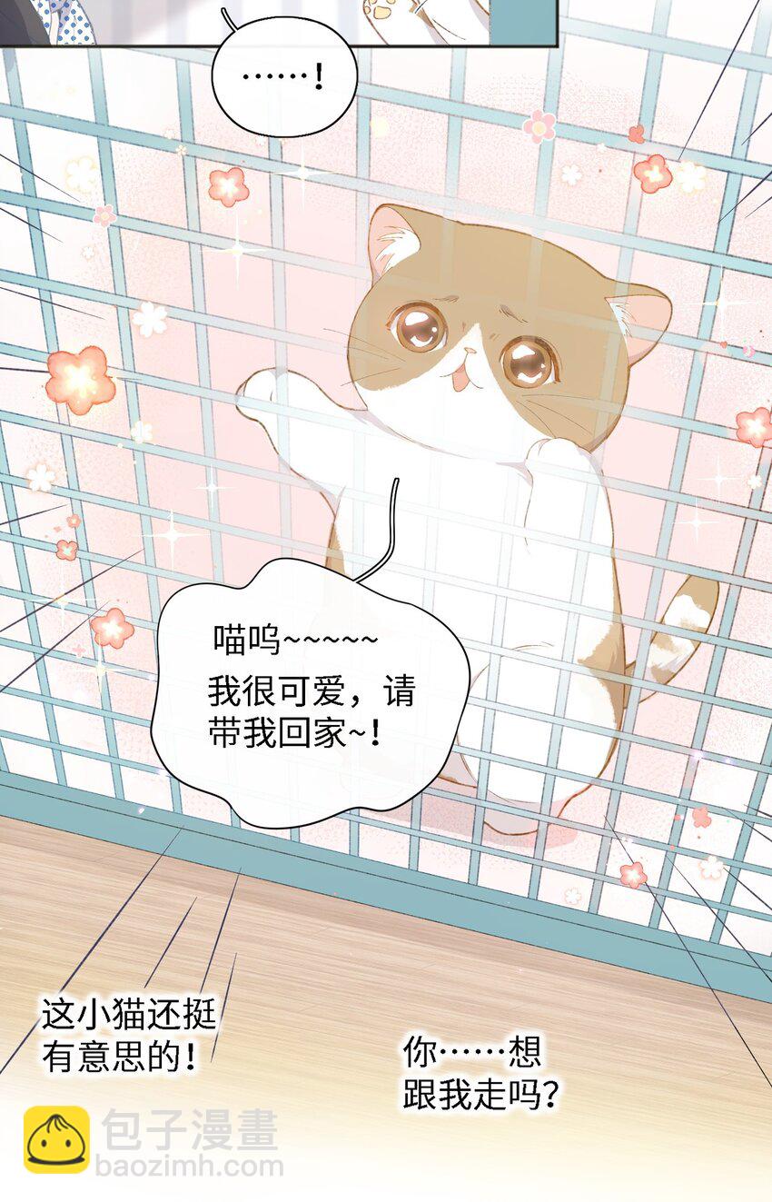 001 充满智慧的小猫咪53