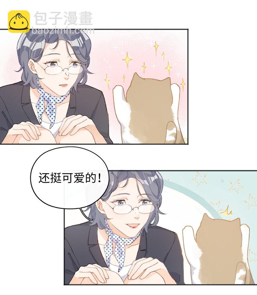 001 充满智慧的小猫咪54