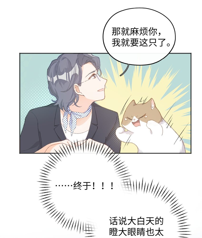 001 充满智慧的小猫咪55