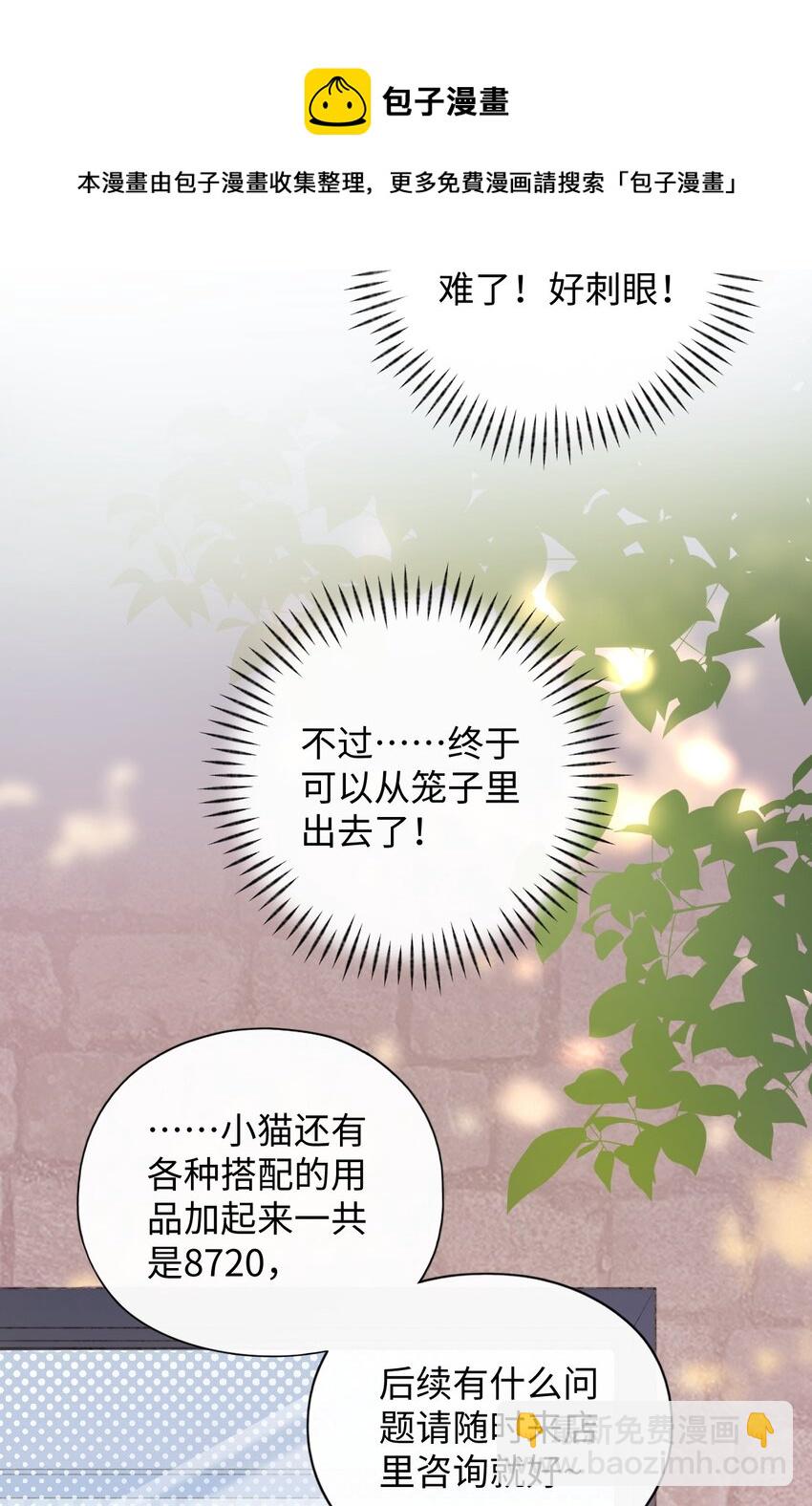 001 充满智慧的小猫咪56