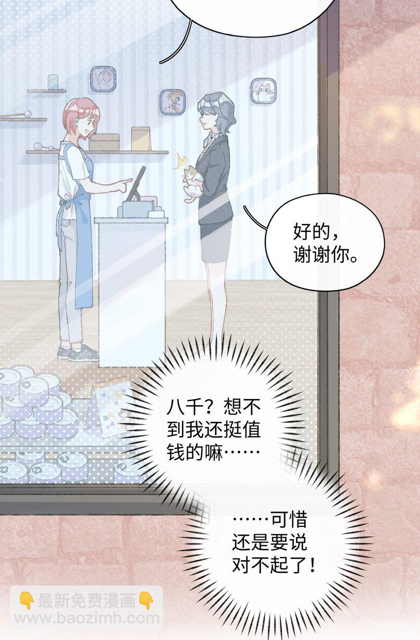001 充满智慧的小猫咪57