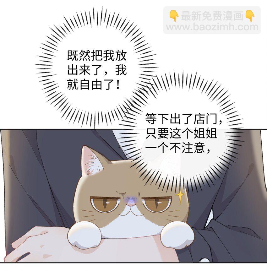 001 充满智慧的小猫咪58