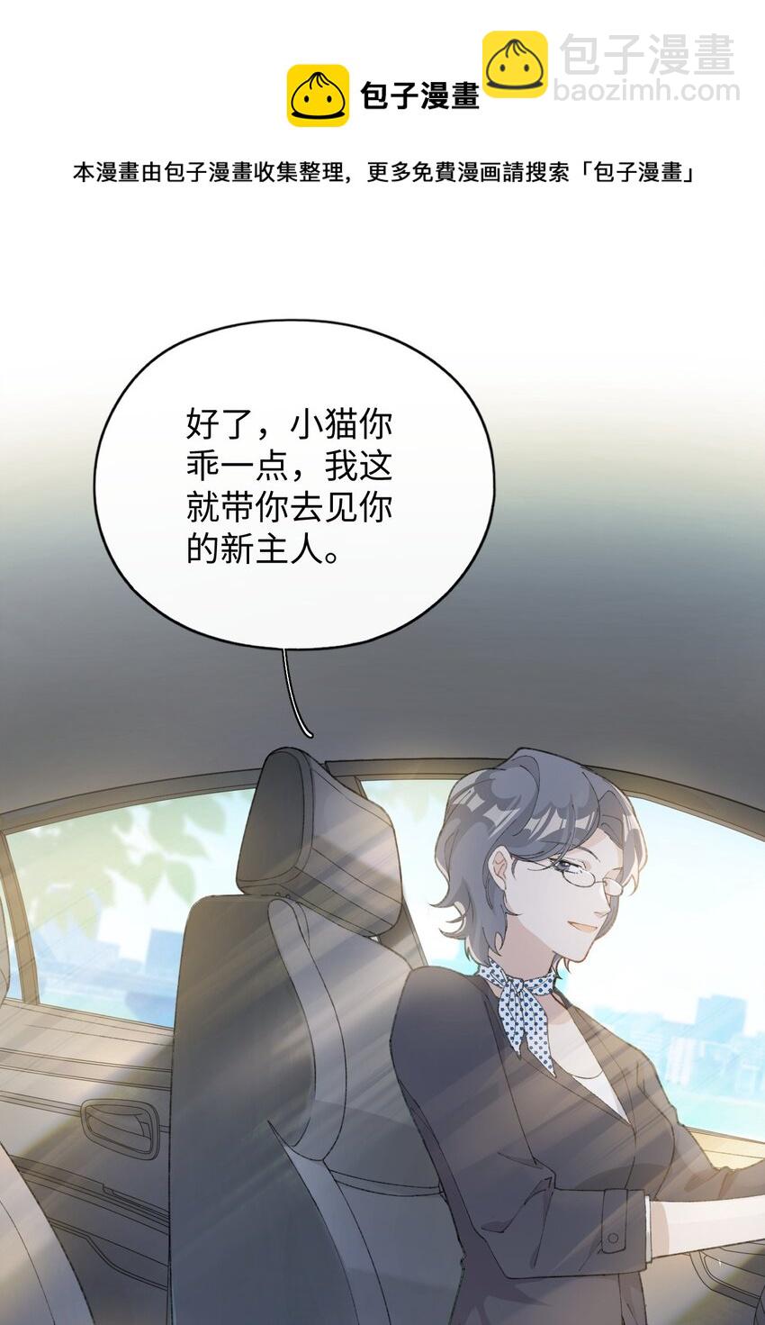 001 充满智慧的小猫咪60