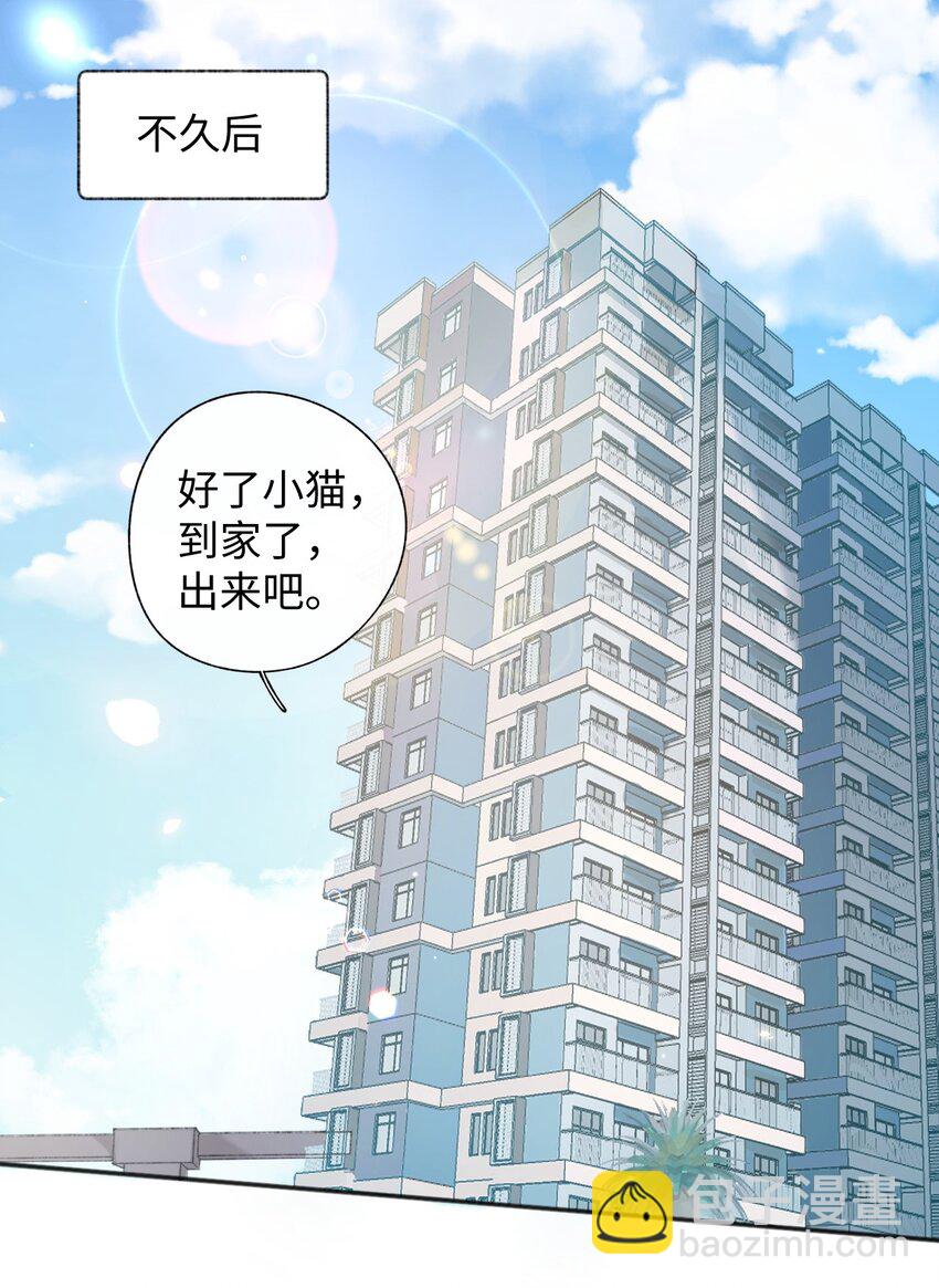 001 充满智慧的小猫咪63