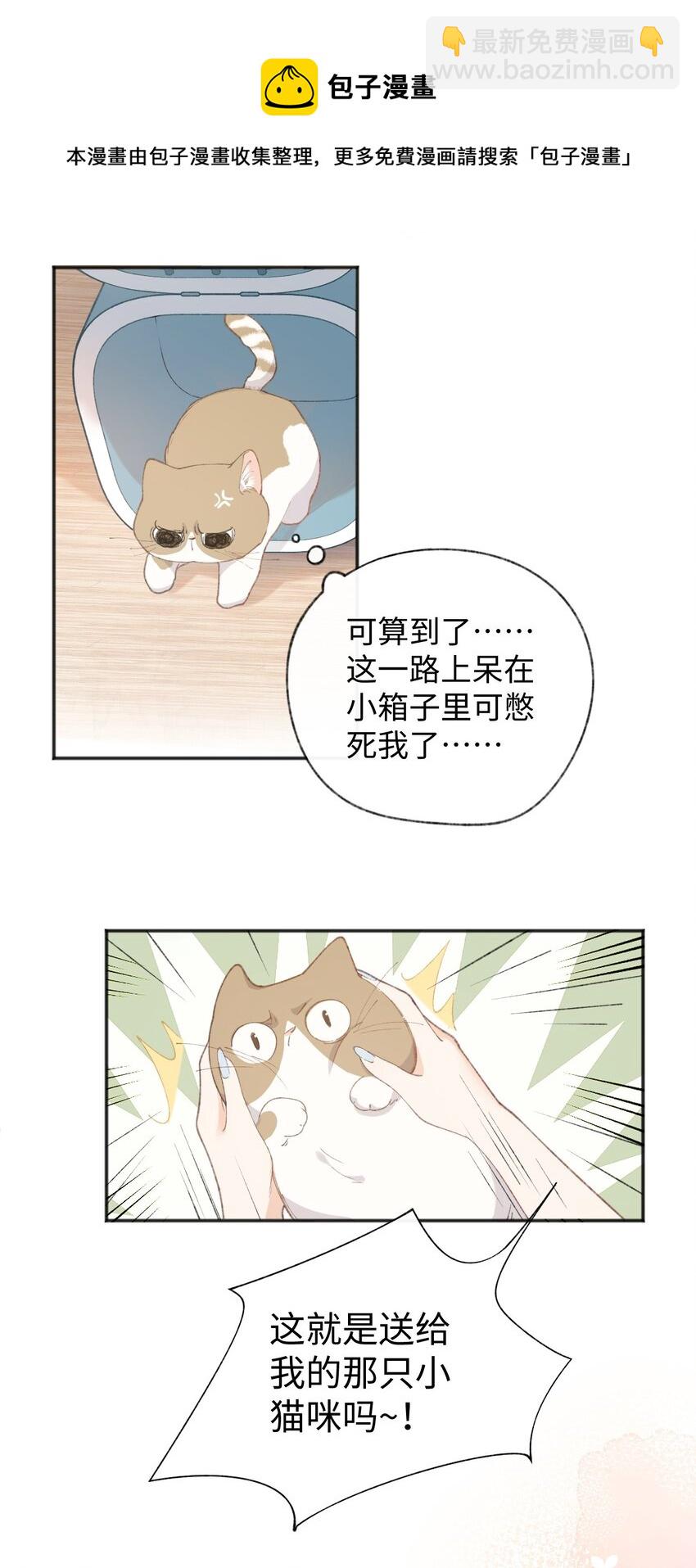001 充满智慧的小猫咪64