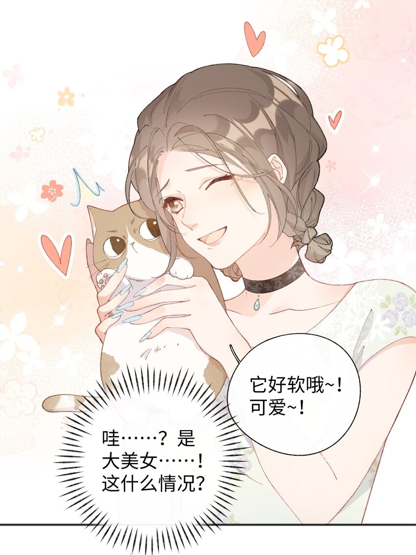 001 充满智慧的小猫咪65