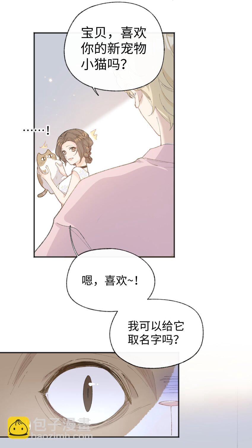001 充满智慧的小猫咪67