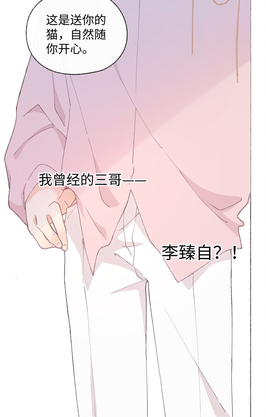 001 充满智慧的小猫咪69