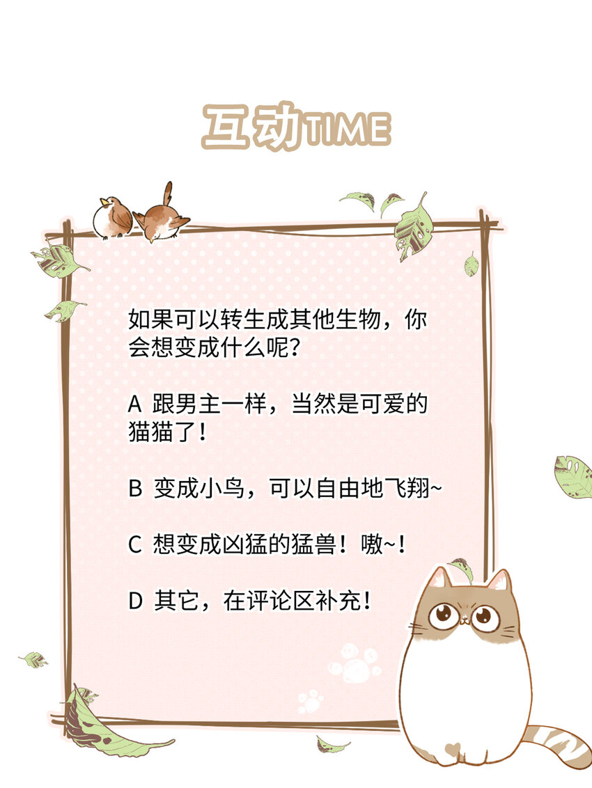 001 充满智慧的小猫咪70