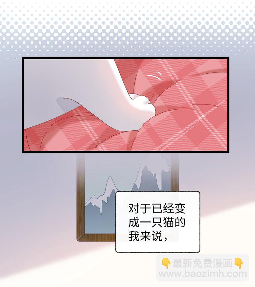 008 白白胖胖，充满希望13