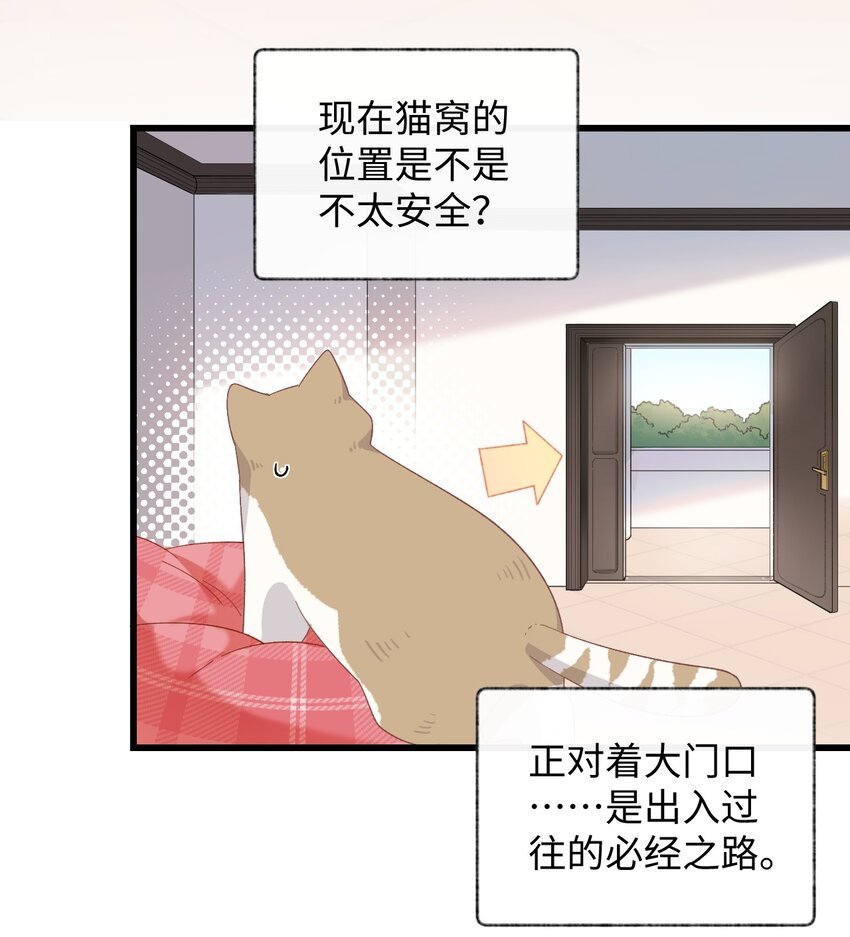 008 白白胖胖，充满希望15