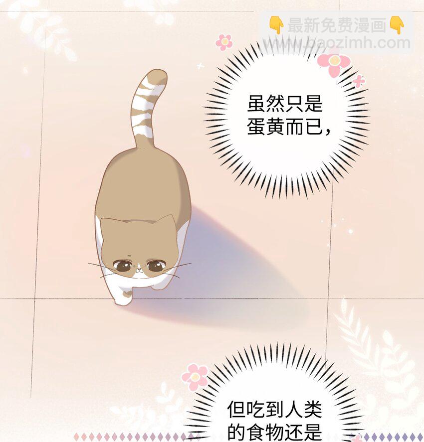 008 白白胖胖，充满希望2