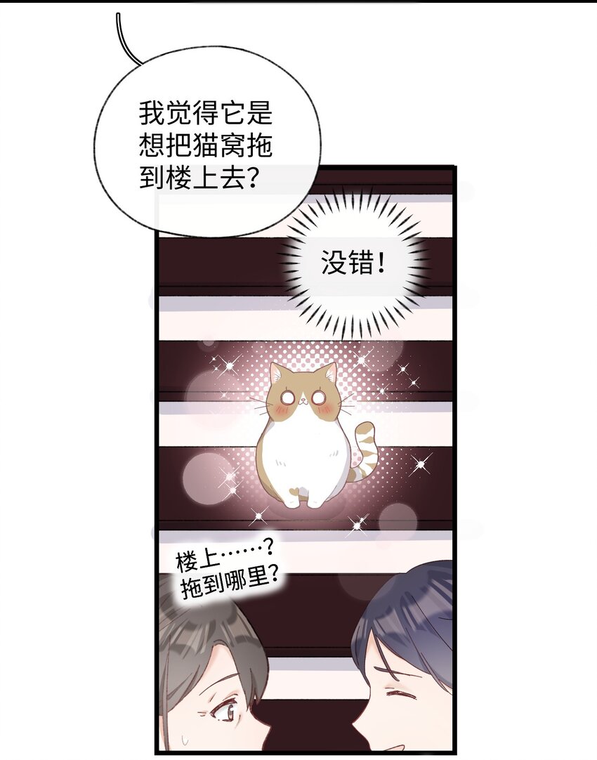 008 白白胖胖，充满希望21