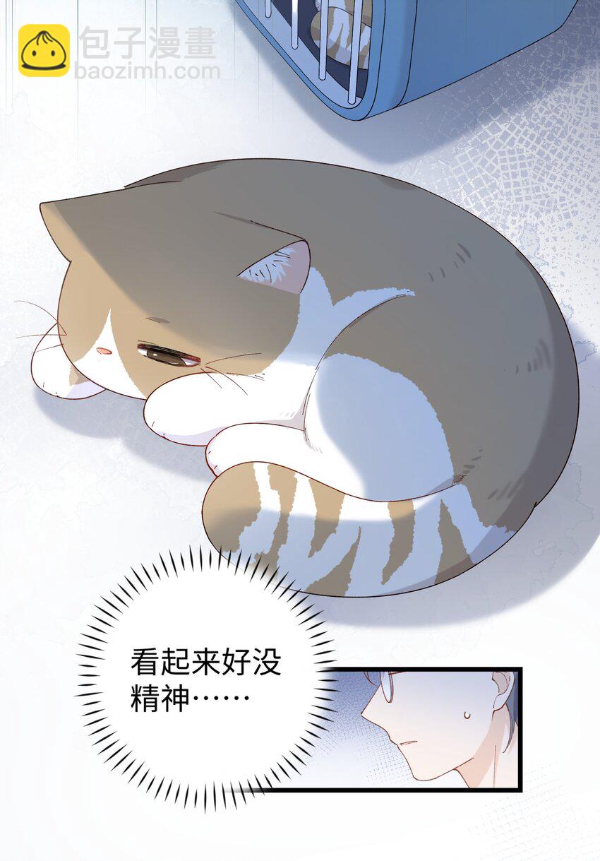 022 梦幻开局26