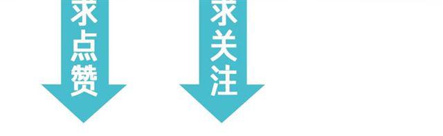 第9话 受挫221