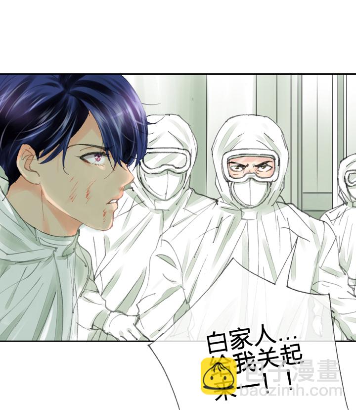 第三十八回 下17