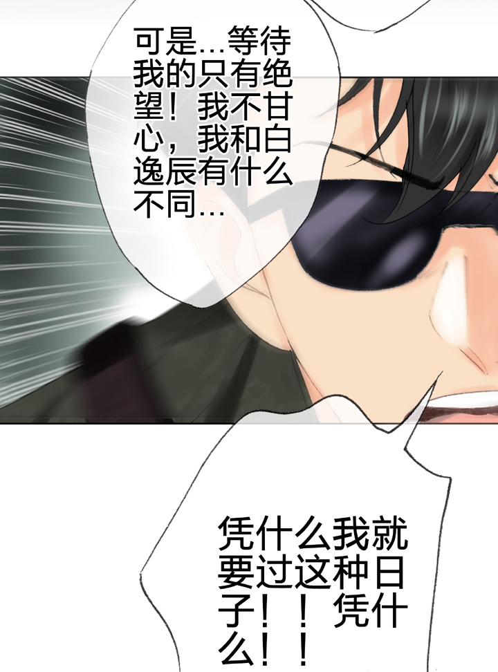 第四十一回 上31
