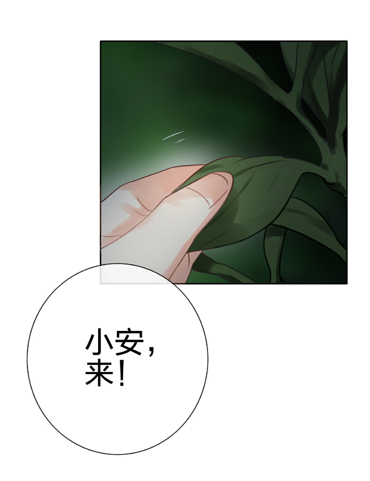 第五十二回 下9