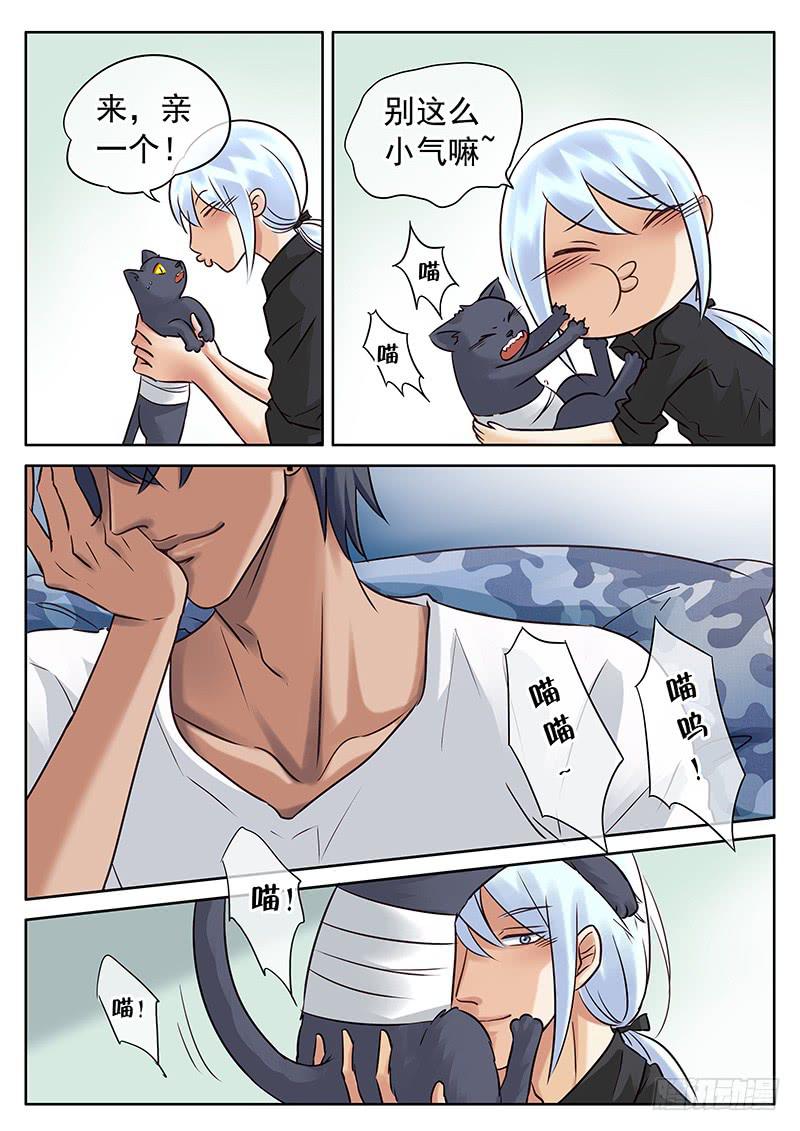 030 逗猫2
